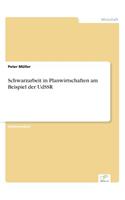Schwarzarbeit in Planwirtschaften am Beispiel der UdSSR