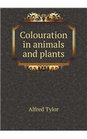 Colouration in Animals and Plants