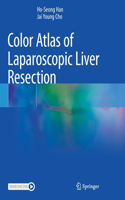 Color Atlas of Laparoscopic Liver Resection