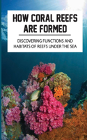 How Coral Reefs Are Formed: Discovering Functions And Habitats Of Reefs Under The Sea: Explore Coral Reefs