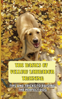 The Basics Of Yellow Labrador Training: Tips And Tricks To Raising The Perfect Dog: How To Understand Yellow Labrador Language