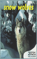 snow wolves: 2021 Wall & Office Calendar, 12 Month Calendar