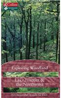 Exploring Woodland