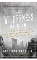 Wilderness of Ruin