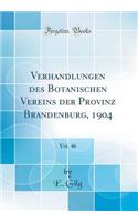 Verhandlungen Des Botanischen Vereins Der Provinz Brandenburg, 1904, Vol. 46 (Classic Reprint)