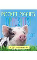 Pocket Piggies Opposites!: Featuring the Teacup Pigs of Pennywell Farm