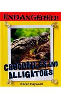 Crocodiles and Alligators