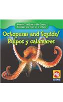 Octopuses and Squids / Pulpos Y Calamares