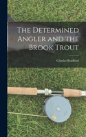 The Determined Angler and the Brook Trout