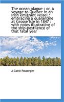 The Ocean Plague: Or, a Voyage to Quebec in an Irish Emigrant Vessel: Embracing a Quarantine