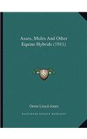 Asses, Mules and Other Equine Hybrids (1911)