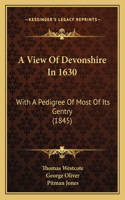 A View Of Devonshire In 1630