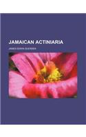 Jamaican Actiniaria