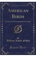 American Birds: Studied and Photographed from Life (Classic Reprint): Studied and Photographed from Life (Classic Reprint)