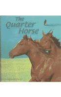 The Quarter Horse