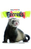 Ferrets