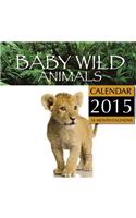 Baby Wild Animals Calendar 2015