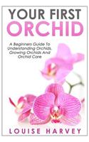 Your First Orchid