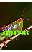 Arthropods