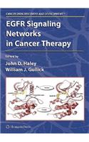 EGFR Signaling Networks in Cancer Therapy