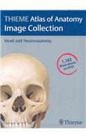 Thieme Atlas of Anatomy Image Collection--Head and Neuroanatomy