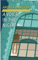A Voice in the Night