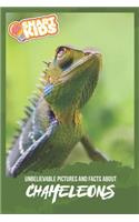 Unbelievable Pictures and Facts About Chameleons