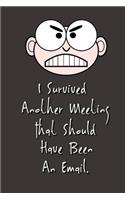 I Survived Another Meeting That Should Have Been An Email.: Stunning Funny Boss Gifts Ruled Paper Notebook Journal - Cute Work Gifts For Coworker Blank Lined Workbook For Employees Boss Women Men Lawyers Stud