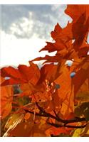 Fall Colors 2020 Weekly Planner Orange Leaves Mountain Sunrise 134 Pages: 2020 Planners Calendars Organizers Datebooks Appointment Books Agendas