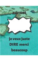 carnet: je veux juste dire merci beaucoup: carnet: je veux juste dire merci beaucoup, cahier cadeau pour Thanksgiving, cahier journal pour leThanksgiving jo