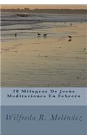 28 Milagros De Jesús Meditaciones En Febrero