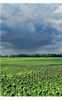 Field Of Poppies Notebook