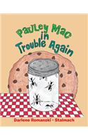 Pauley Mac in Trouble Again