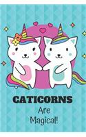 Cute Caticorn Journal Notebook: 6 X 9 - 120 Blank Journal Pages (Diary, Notebook, Composition Book, Writing Tablet) - Back to School Supplies for Girls and Boys