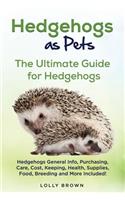 Hedgehogs as Pets