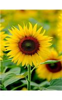 Sunflower Notebook