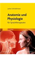 Anatomie Und Physiologie