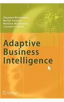 Adaptive Business Intelligence