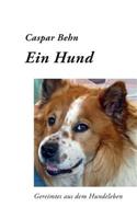 Hund