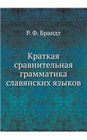 Краткая сравнительная грамматика славя