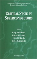 Critical State in Superconductors - Proceedings of 1994 Topical International Cryogenic Materials Conference