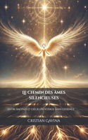Le chemin des âmes silencieuses