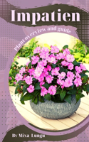 Impatien: Plant overview and guide