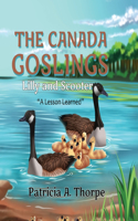 Canada Goslings: Lilly and Scooter "A Lesson Learned"