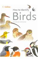 How to Identify Birds: (How to identify)