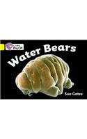 Water Bears: Band 3/Yellow(Collins Big Cat)
