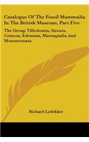 Catalogue Of The Fossil Mammalia In The British Museum, Part Five: The Group Tillodontia, Sirenia, Cetacea, Edentata, Marsupialia And Monotremata