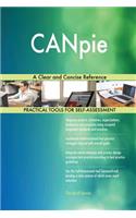 CANpie A Clear and Concise Reference
