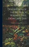 Description of the Big Black Walnut Tree, From Lake Erie