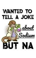 Wanted To Tell A Joke About Sodium But NA